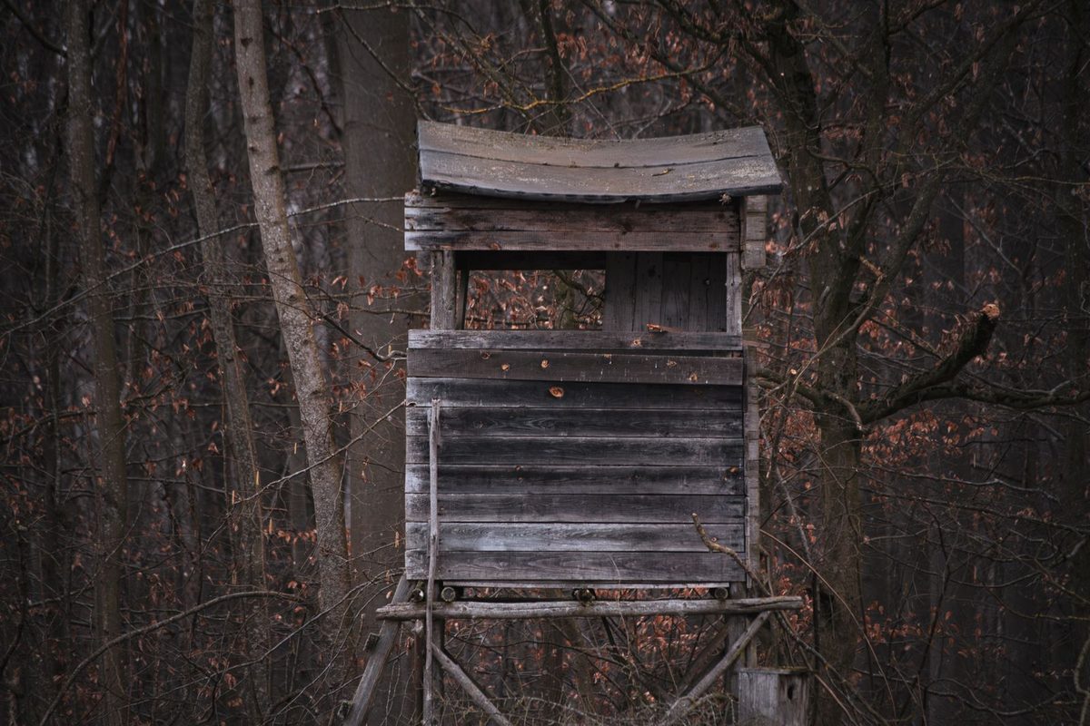 Mirador de chasse en bois dans une forêt d'automne