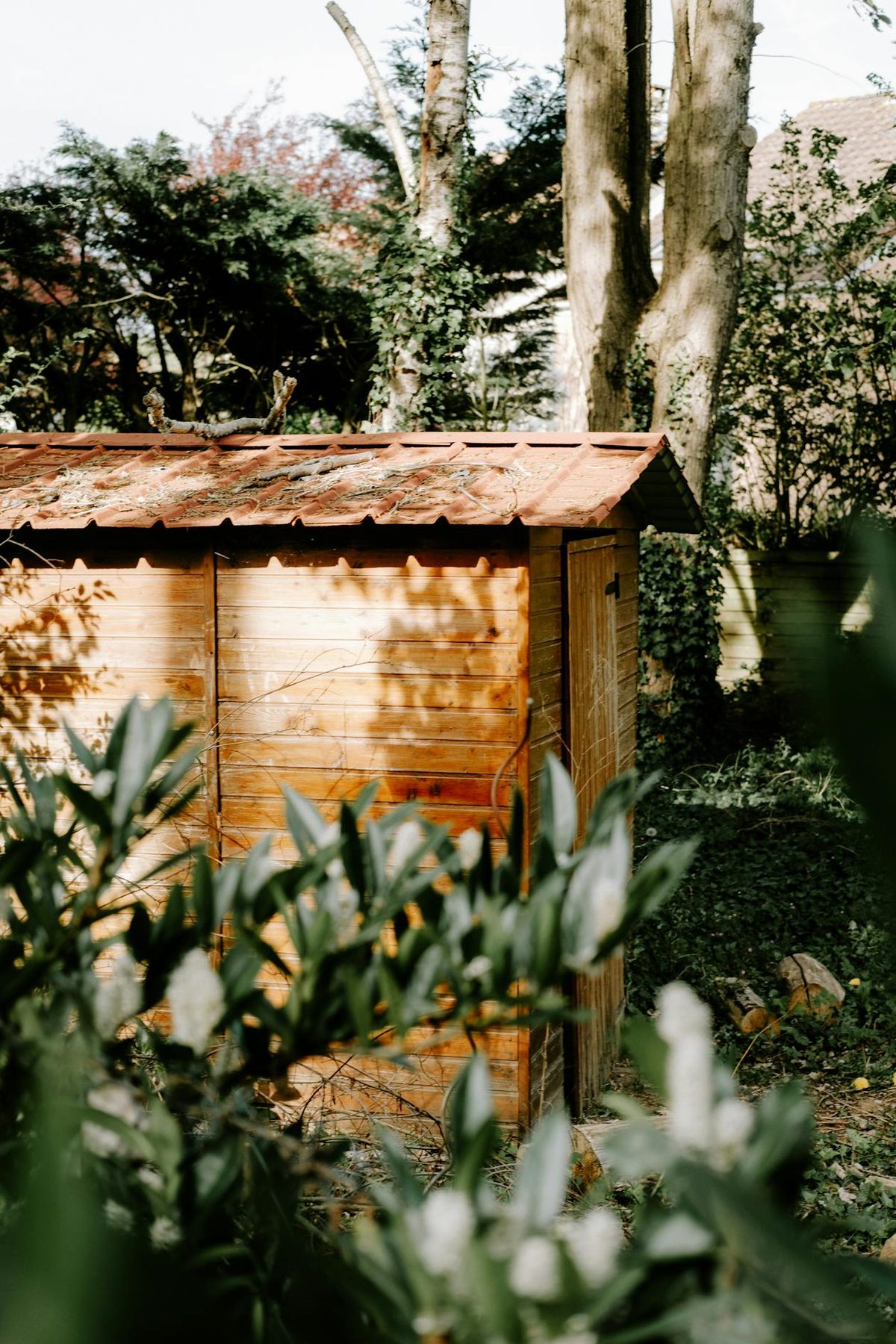 Abri de jardin en bois dans un jardin