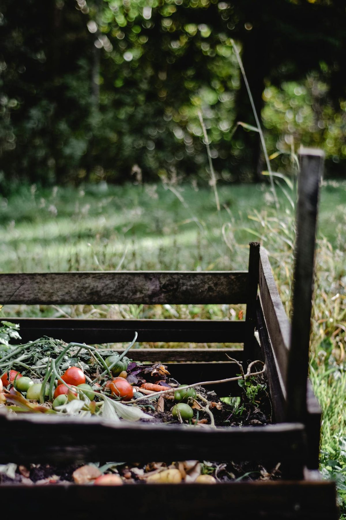 Composteur en bois dans un jardin avec déchets organiques
