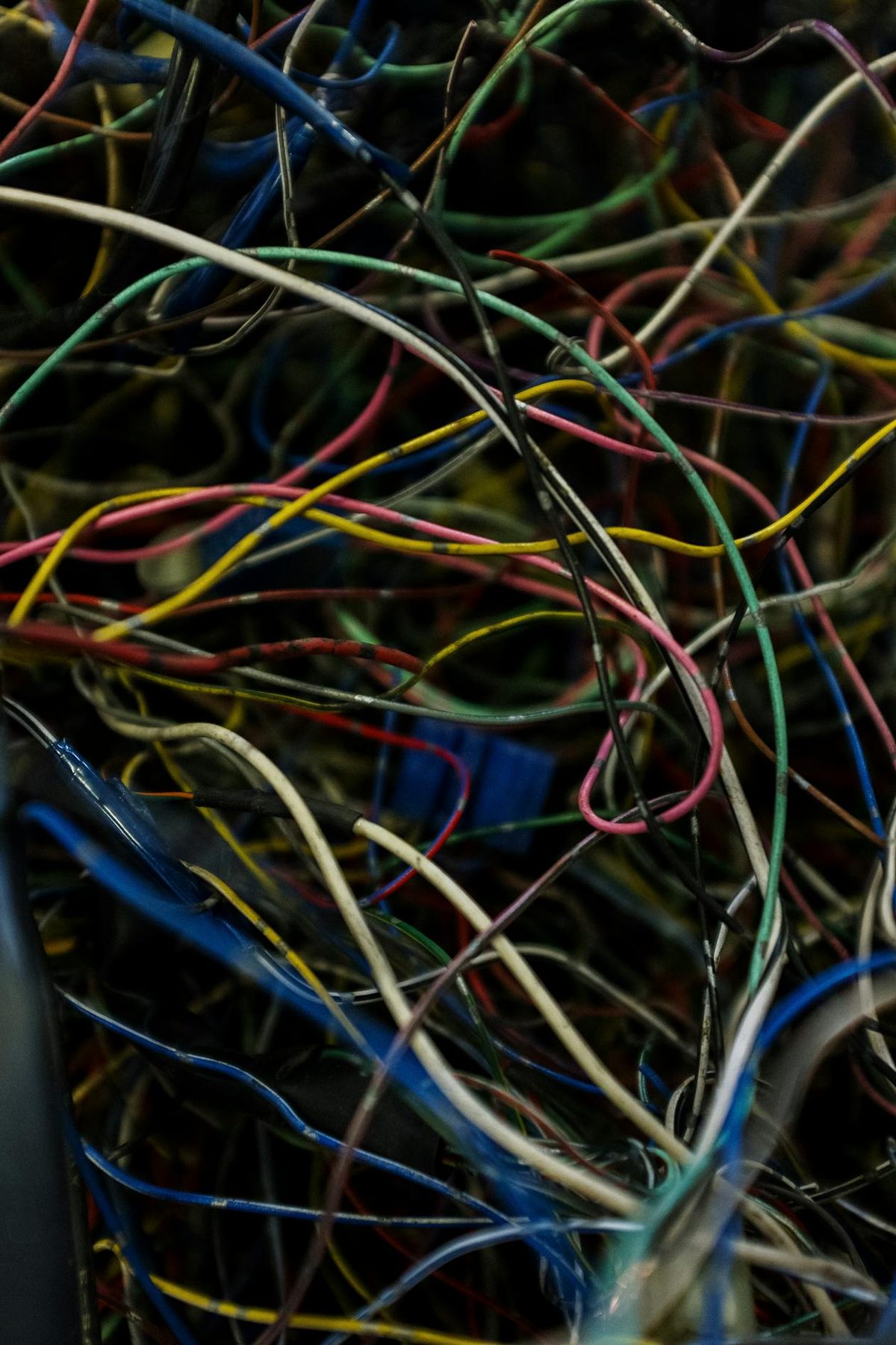 Fils électriques colorés dénudés prêts à être raccordés