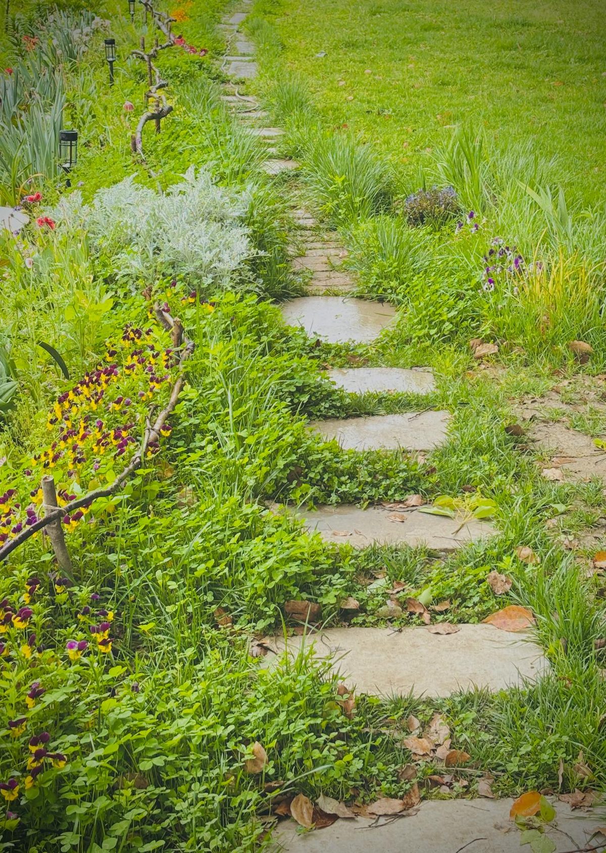 Allée pavée avec herbes entre les joints et flambeur thermique