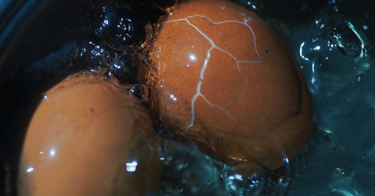 Oeufs en cuisson dans une casserole d'eau