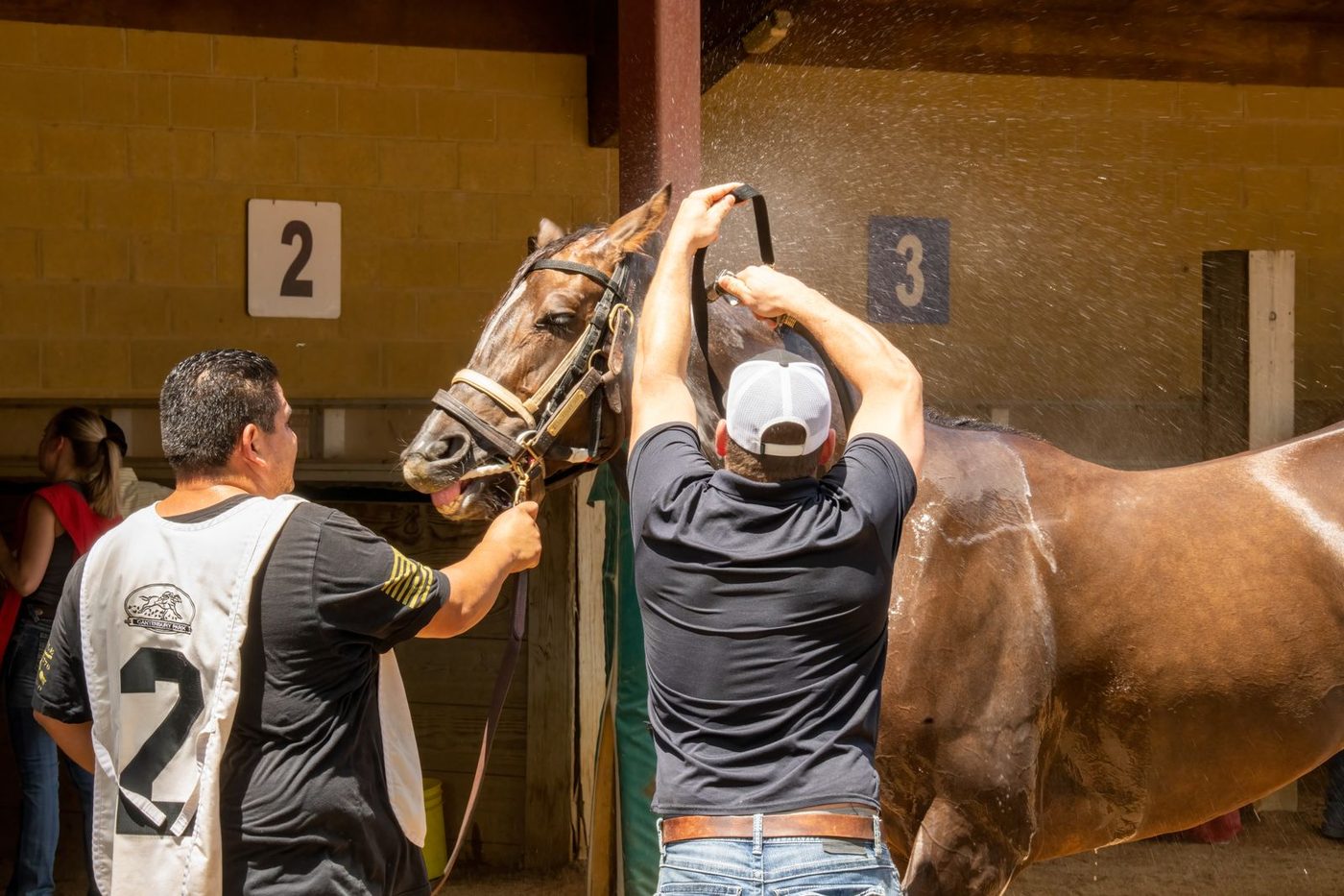 Deux personnes s'occupant d'un cheval devant les box d'une écurie